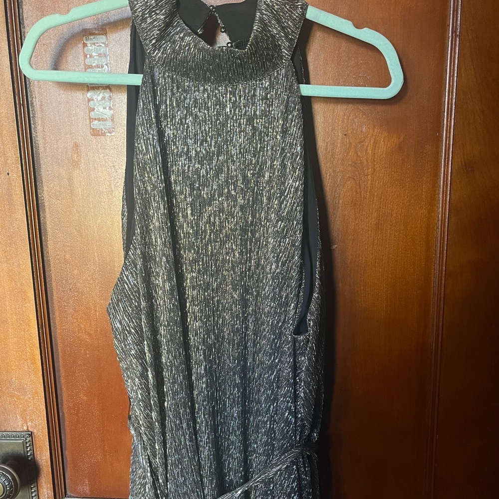 Black metallic Express Dress